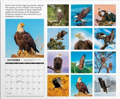 On Eagels Wings - 2025 wandkalender large 30x30cm | mcms.nl