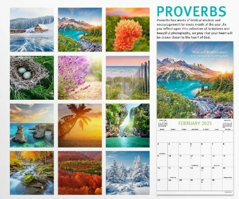 Proverbs 2025 - wandkalender large | mcms.nl